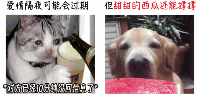 b925bb9730cbaebe8a9b7504dc7de7c4.gif