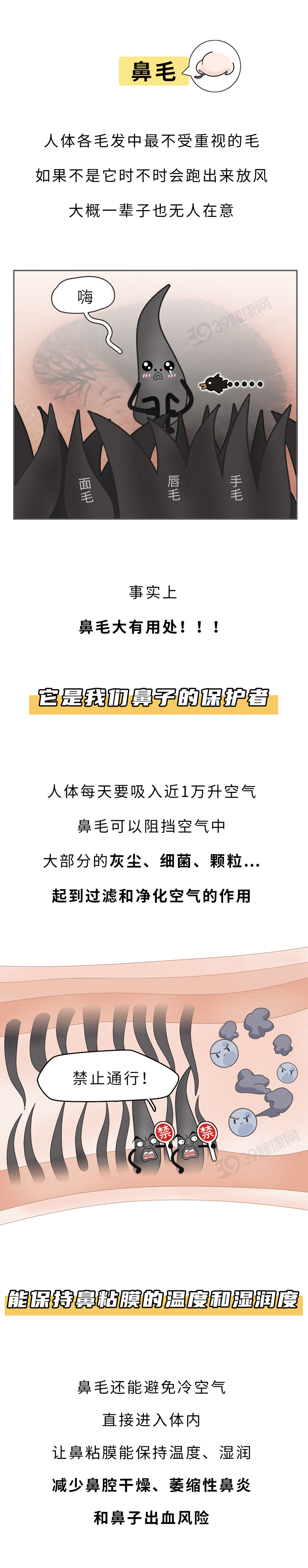 f81ae0205bf0e17568e8ed8a51039997.png