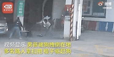 6c39c7efa93adc5b7dcbeb19227c6934.gif