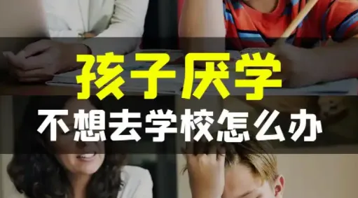 cd5a96313d4f24c5b1a994ab5e78d0a.webp