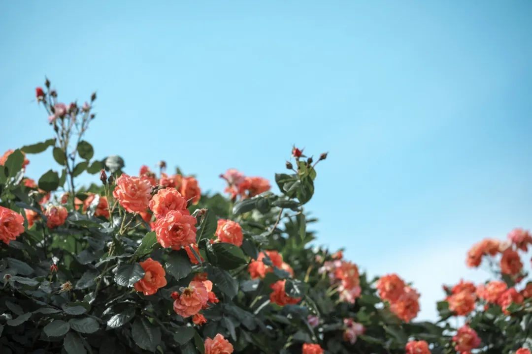 640.jpg